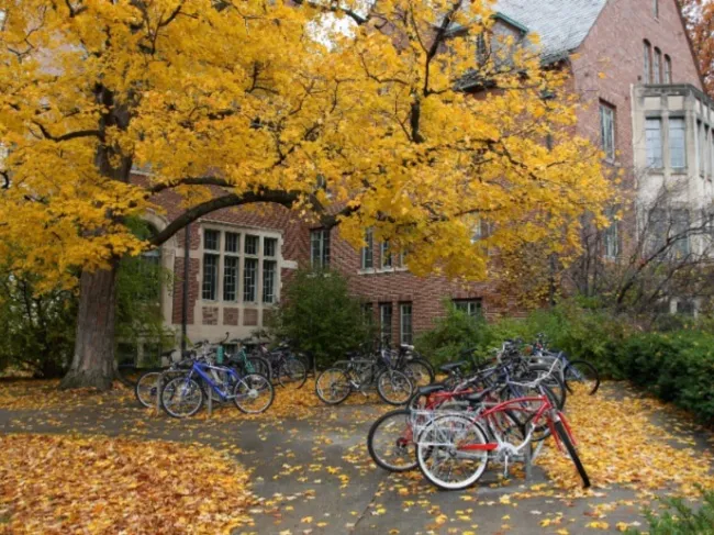 fall campus